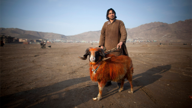 Illustration for article titled This Photographer Revealed The Human Side Of Our Enemies And We Hate Him For It